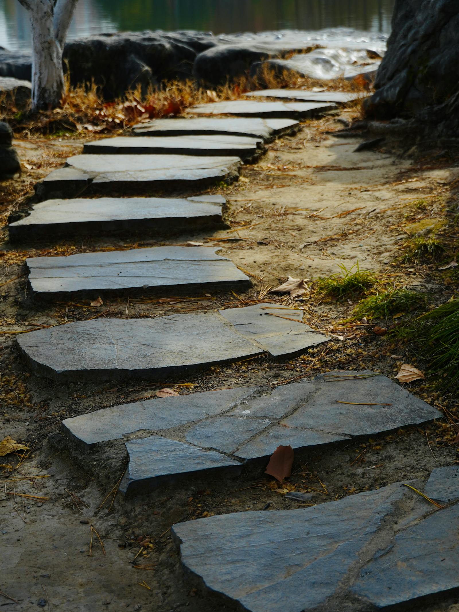 Rustic stone pathway through a planted garden bed with mulched edges