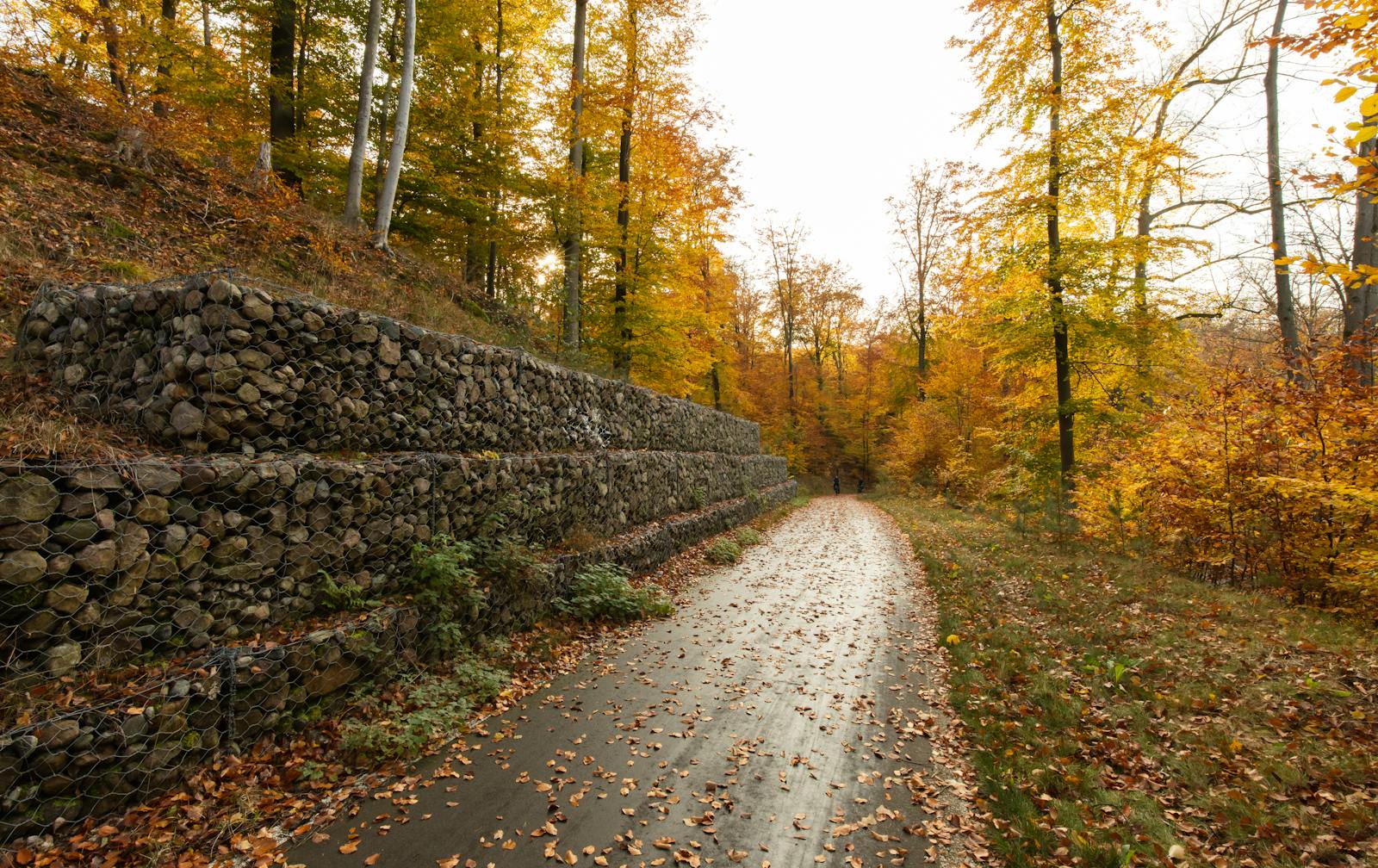 Stone retaining wall along a path with fallen autumn leaves