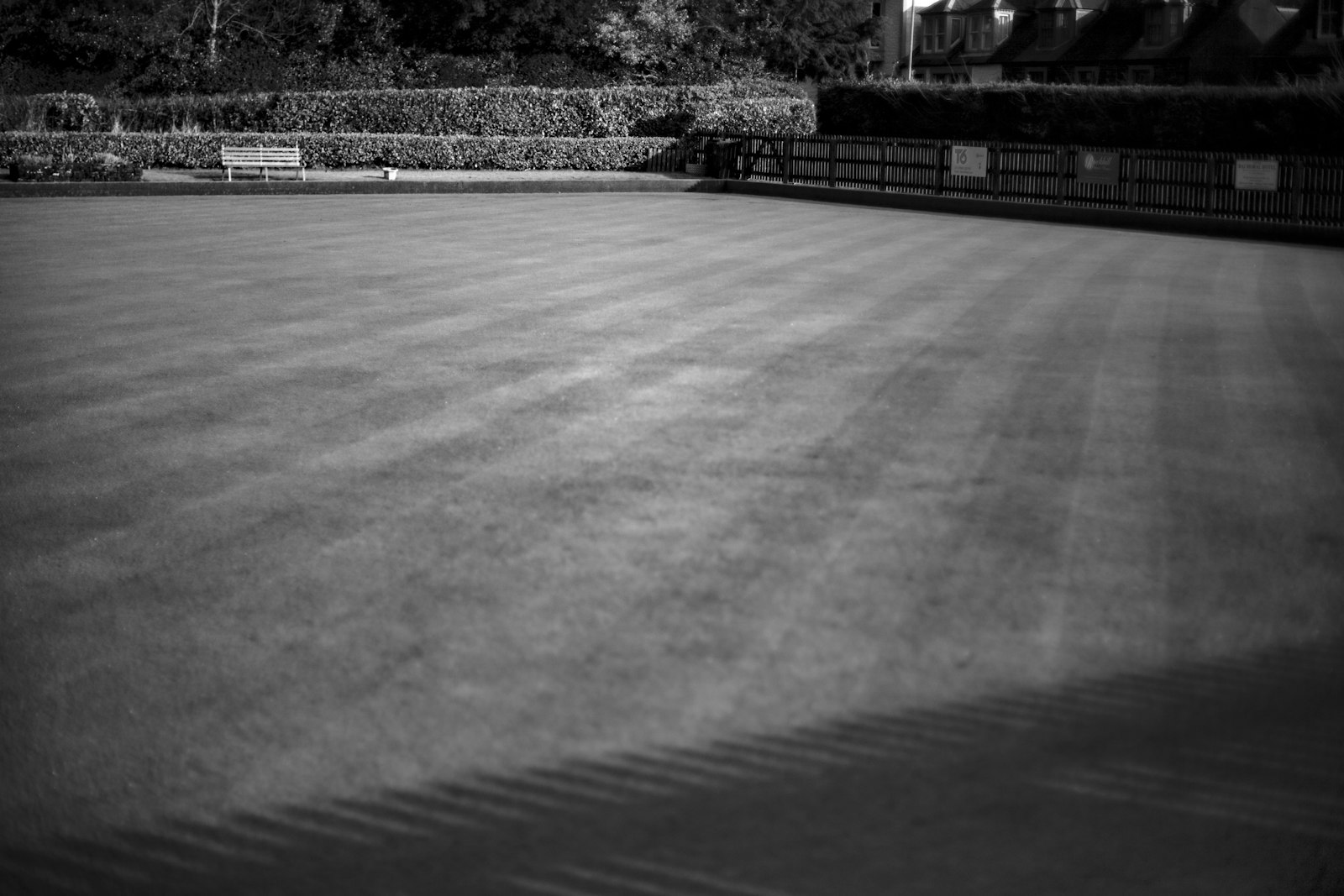 Lawn with crisp light and dark stripes from a precise mow pattern