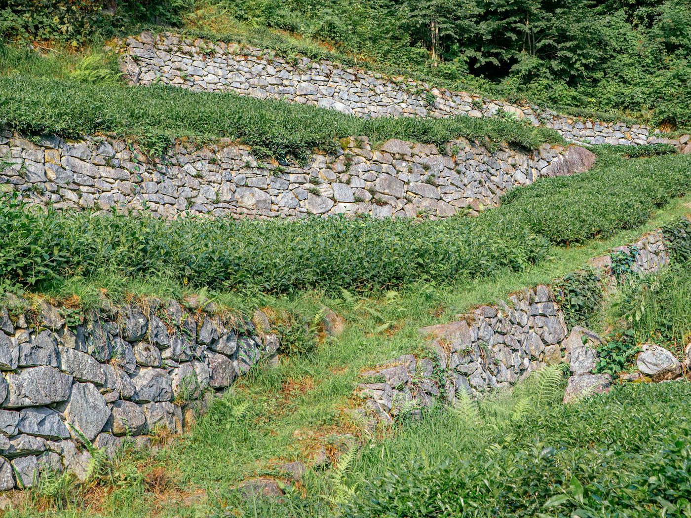 Two terraced stone retaining walls stepping up a sloped residential yard